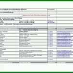 Singular Sicherheitsdatenblatt Vorlage 728x563