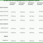 Einzahl Steuererklärung Vorlage 2017 1240x1083