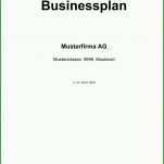 Bestbewertet Businessplan Vorlage Word 1240x1753