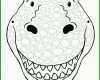 Bemerkenswert Dino Maske Basteln Vorlage 1186x1194
