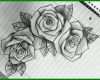 Sensationell Rose Vorlage 736x552