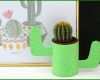 Ausgezeichnet Kaktus Basteln Vorlagen 1000x750