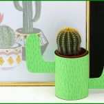 Ausgezeichnet Kaktus Basteln Vorlagen 1000x750