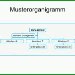 Selten organigramm Vorlage 1025x762