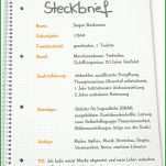 Staffelung Steckbrief Erzieherin Kindergarten Vorlage 1288x1532