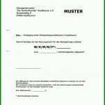 Am Beliebtesten Kündigung Für Versicherung Vorlage 938x1296