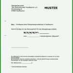 Einzahl Stromanbieter Kündigen Muster Vorlage 938x1296