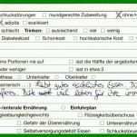 Ausnahmsweise Biografie Vorlage Altenheim 1000x391