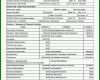 Singular Cash Flow Excel Vorlage Kostenlos 911x1177