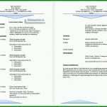 Spektakulär Cv Englisch Vorlage 982x692