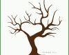Bestbewertet Fingerprint Baum Vorlage 1280x1600