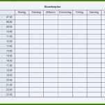 Selten Dienstplan Vorlage Pdf 1356x954