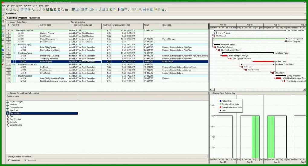 Faszinierend Raci Matrix Vorlage 1901x1027