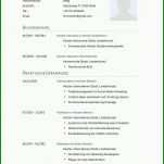Singular Tabellarischer Lebenslauf Pdf Vorlage 1000x1414