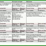 Spezialisiert Gefährdungsbeurteilung Vorlage Excel 800x432