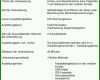 Tolle Konzept Vorlage Pdf 960x1468