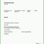 Ausgezeichnet Privater Geschäftsbrief Vorlage 1600x2264