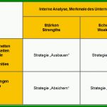 Selten Swot Analyse Vorlage 860x535