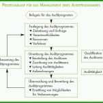 Hervorragend Auditplan Vorlage Excel 1117x698