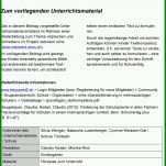 Original Situationsanalyse Kindergarten Vorlage 960x1564