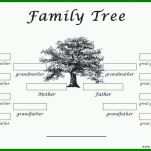 Modisch Vorlage Für Einen Stammbaum 1176x635