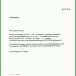 Schockieren Vorlage Vertrag Widerrufen 914x1204