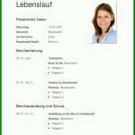 Einzahl Lebenslauf Vorlage Kostenlos Download 800x1132