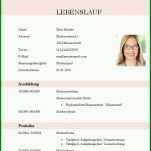 Limitierte Auflage Lebenslauf Vorlage Student 752x812