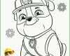 Einzigartig Paw Patrol Vorlage 2489x3532