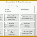 Singular Vertriebskonzept Vorlage Kostenlos 1876x1108