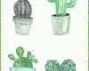 Ideal Kaktus Basteln Vorlagen 1200x1680