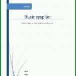 Exklusiv Word Vorlage Businessplan 706x999