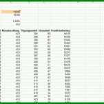 Sensationell Zinsrechner Excel Vorlage 1006x566