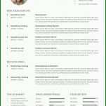 Hervorragend Cv Englisch Vorlage 992x1403