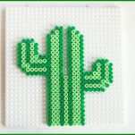 Moderne Kaktus Basteln Vorlagen 1100x733