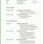 Einzigartig Lebenslauf Vorlage Pdf Kostenlos Ohne Anmeldung 1000x1414