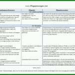 Wunderbar Pflegeplanung Vorlage 1000x708