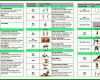Ausnahmsweise Vorlage Trainingsplan Fitnessstudio 1600x818