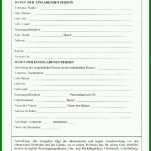 Unglaublich Einspruch Gegen Blitzer Vorlage 724x1024