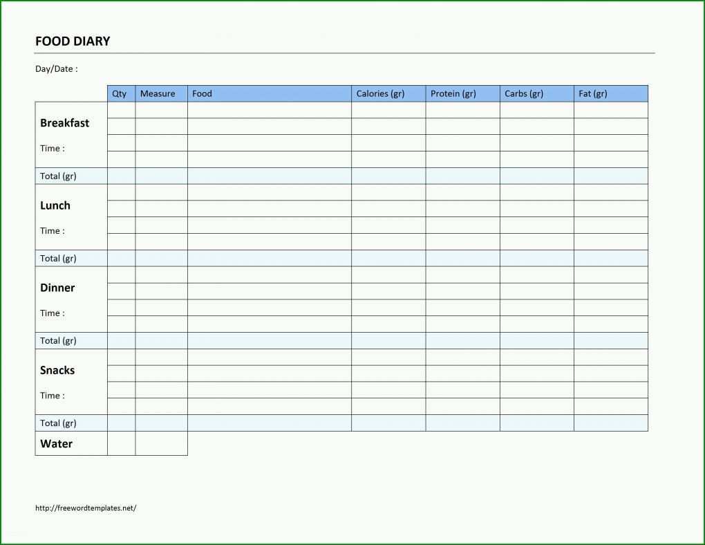 Singular Protokoll Vorlage Excel 3300x2550