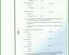 Faszinieren Testament Schweiz Vorlage Alleinstehend 1600x2100