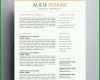Schockierend Lebenslauf Vorlage Pages Mac Kostenlos 950x927