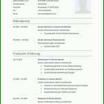 Toll Lebenslauf Vorlage Pdf 849x1200