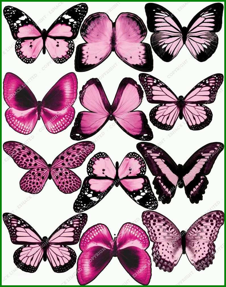 Außergewöhnlich Die Besten 25 Schmetterling Tattoo Vorlage Ideen Auf 106115