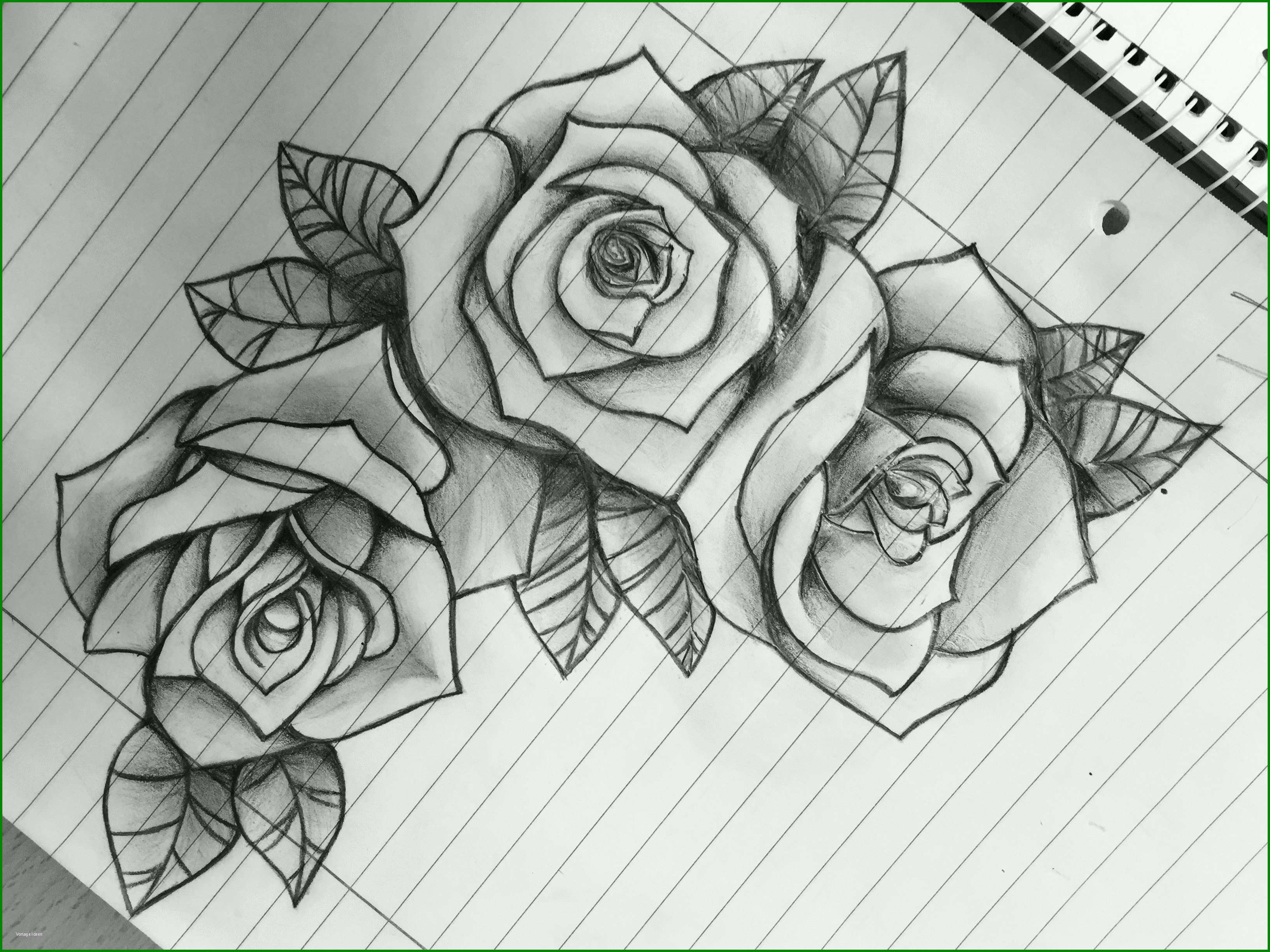 Tattoo Rose Vorlage Vorlagen zum Ausmalen gratis ausdrucken