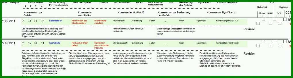 Überraschen Haccp Entscheidungsbaum Vorlage 1298x347