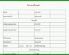 Allerbeste Personalfragebogen Vorlage Excel 718x555