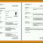 Fantastisch Lebenslauf Vorlage Pages Mac Kostenlos 862x624