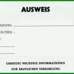 Original Mitgliedsausweis Vorlage Word 900x587