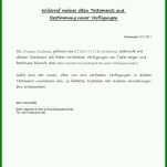Bemerkenswert Testament Vorlage Single 793x1122